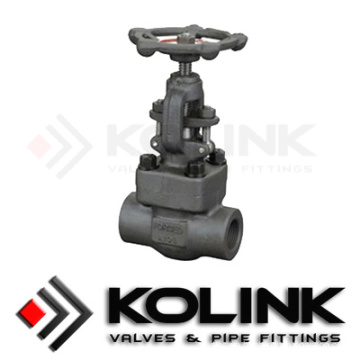 Forged Steel Globe Valve Bb OS&Y